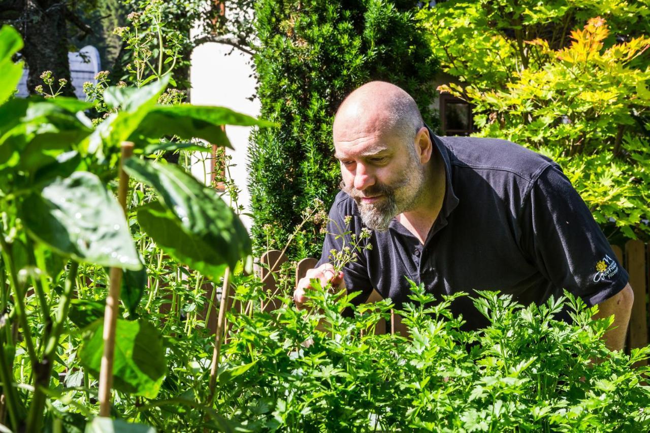 Das Gertraud Filzmoos Extérieur photo